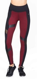 TLF Womens High Performance Training